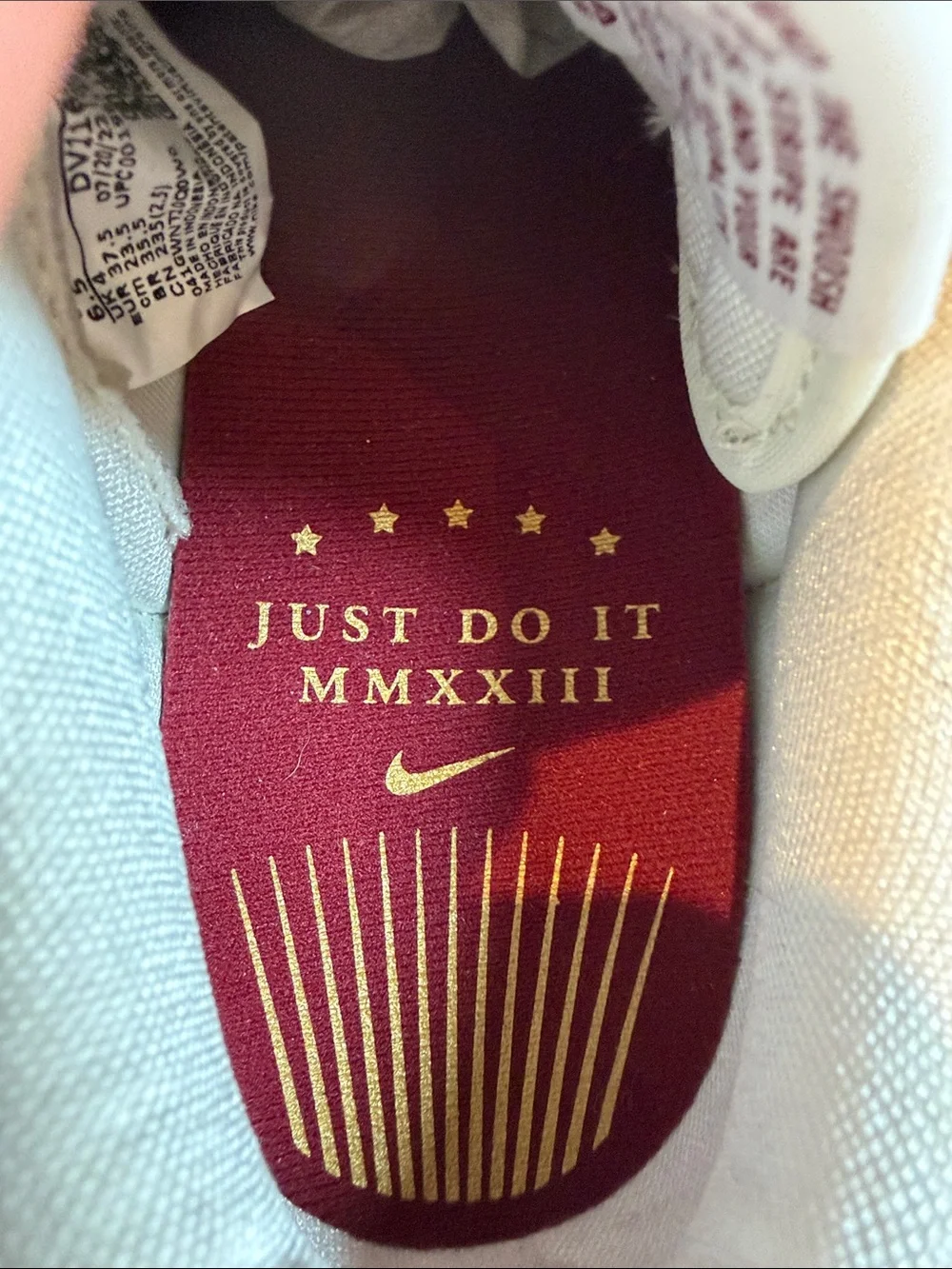 Nike Dunk Low SE Just Do It Team MMXXIII Red Sail Maroon & White Women’s 6.5